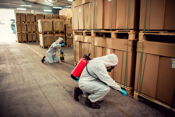 Best Pest Control Near Me  in Buffalo Grove, IL