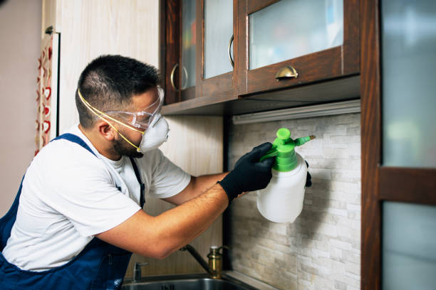Best Affordable Pest Control Services  in Buffalo Grove, IL