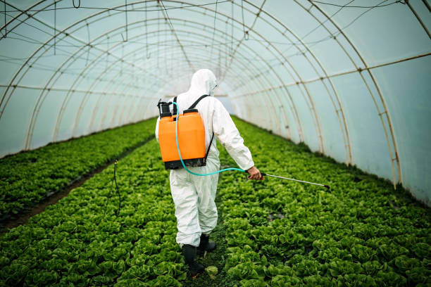 Best Pest Control Cost  in Buffalo Grove, IL