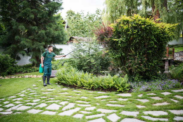Best Cockroach Control Services  in Buffalo Grove, IL