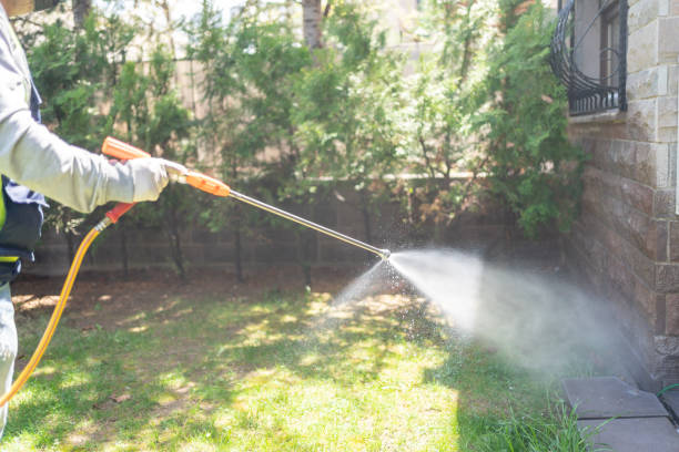 Best Pest Control Near Me in Buffalo Grove, IL