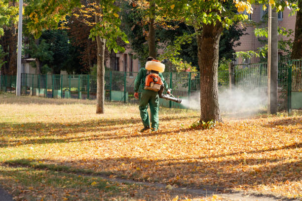 Best Best Pest Control Companies  in Buffalo Grove, IL