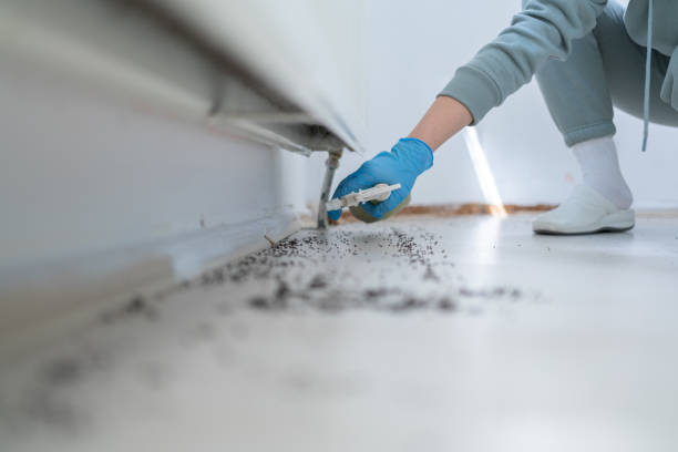 Best Mosquito Control Services  in Buffalo Grove, IL