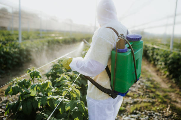 Best Commercial Pest Control Services  in Buffalo Grove, IL